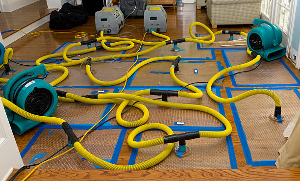 Professional Water Extraction technician working in Garden City, GA